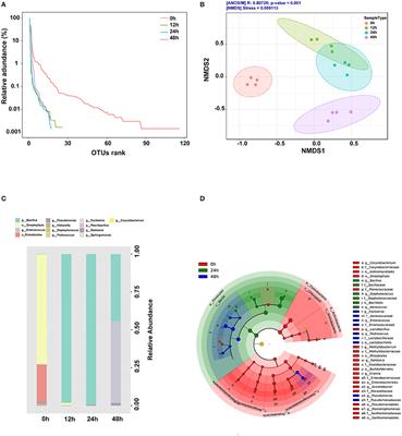 Integrated Microbiomic and Metabolomic Dynamics of Fermented Corn and Soybean By-Product Mixed Substrate